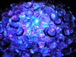 (A picture of gelcaps)
